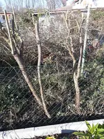 20181117_133028.jpg