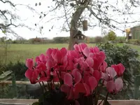 DSC00002.webp