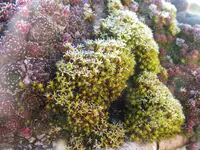 DSCF2058.webp