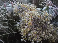 DSCF2059.webp