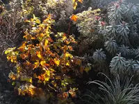 DSCF2060.webp