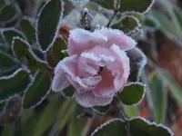 DSCF2063 (2).webp