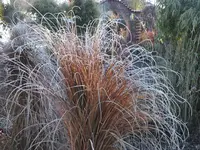 DSCF2068.JPG