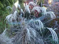 DSCF2070.webp