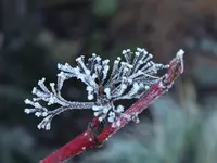 DSCF2062 (2).webp
