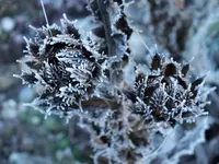 DSCF2048.webp