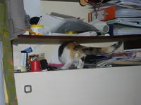 IMGP7065.webp