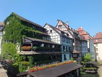 DSCF1711.webp