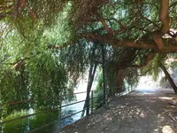 DSCF1714.webp