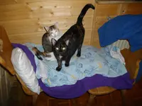 IMGP7076.webp