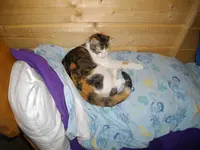 IMGP7075.webp
