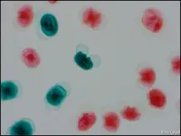 c070.jpg