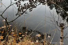 November 4.webp