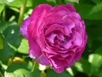 996B6EC2-400A-4F56-9095-55C65D46B71C.webp