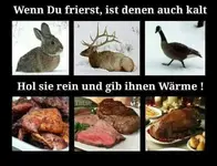 Kalt.webp