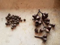 20181128_115510.jpg