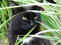 bild.webp