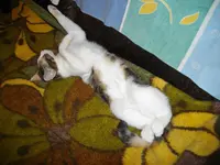 IMGP7086.webp