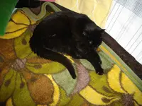 IMGP7087.webp