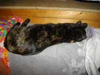 IMGP7088.webp
