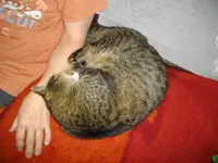 IMGP7089.webp