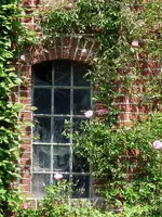 luise-ac96_kl.webp
