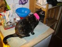 IMGP7098.webp