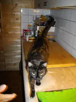IMGP7097.webp