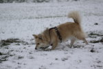 IMG_7742a.jpg