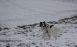 IMG_7762a.jpg