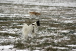 IMG_7810a.jpg