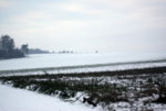 IMG_7917a.jpg
