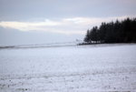 IMG_7926a.jpg