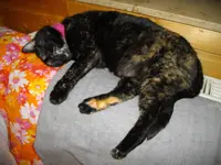 IMGP5247.webp