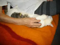 IMGP5246.webp