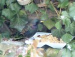 image003.jpg