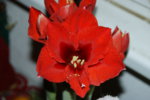 DSC07186.JPG