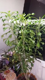 20181201_182340.webp