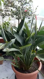 20181204_111238.jpg