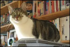 c000.webp