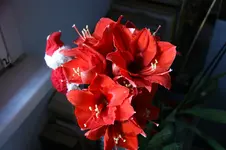 DSC07197.webp