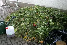 EM-Vortrag2016 065.webp