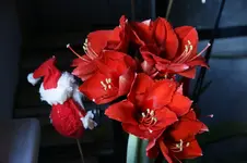 DSC07198.webp