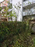 IMG_20181206_111718.webp