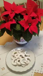 IMG_20181206_101953482.png