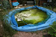 DSC06914.JPG