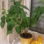 20181206_174228.jpg