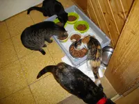 IMGP7116.webp
