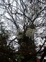 DSC05313.webp