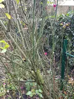 IMG_20181207_142511_001.webp